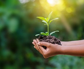 Econea: E-shop pro ty, co se rozhodli konat