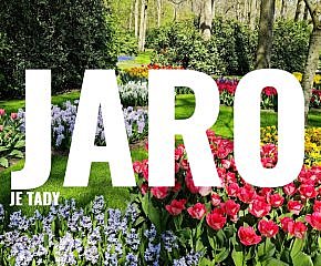 Nejen tulipánové Holandsko